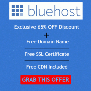 Blue Host CDN Offers