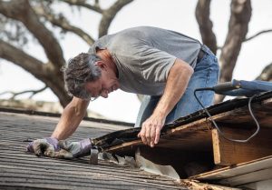 roof inspection cost