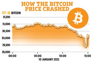 bitcoin crashed
