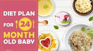 2 year old baby food chart