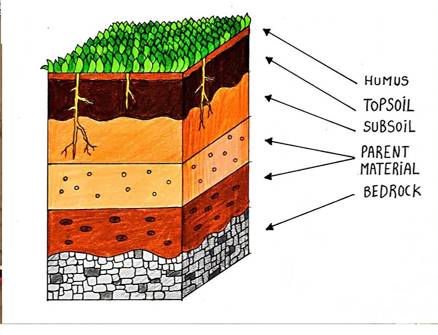 5 Layers Of Soil