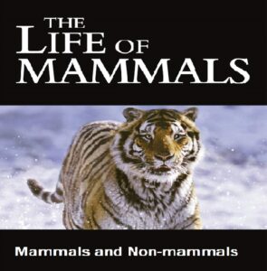 Mammals and Non-mammals 