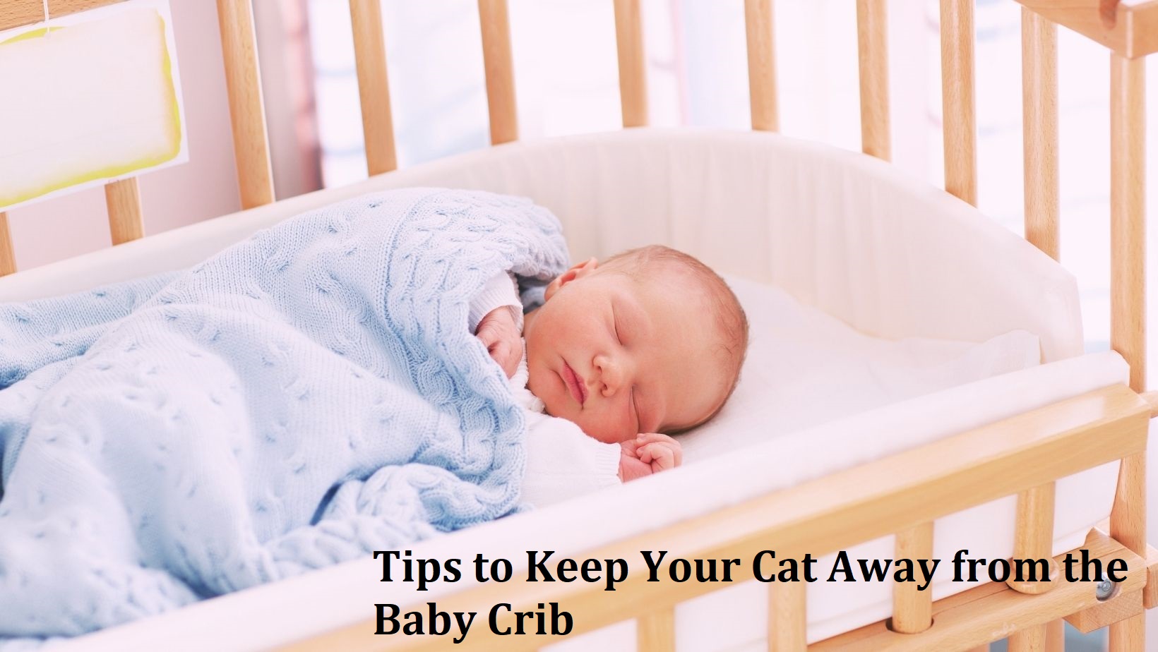 Tips to Keep Your Cat Away from the Baby Crib