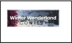 winter wonderland contest,winter wonderland online game,winter wonderland,walking in a winter wonderland,christmas wonderland