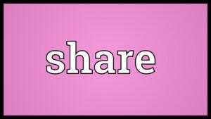Meaning of a Share