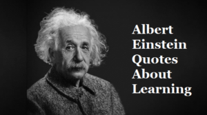 Albert Einstein Quotes About Learning