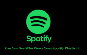 Can You See Who Views Your Spotify Playlist