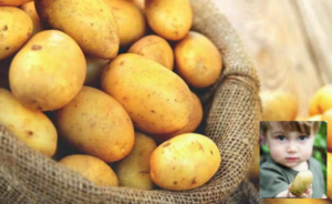 Potato Allergies and Intolerances