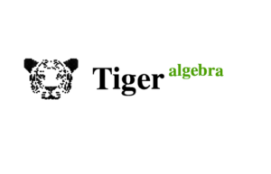 Tiger Algebra Solver