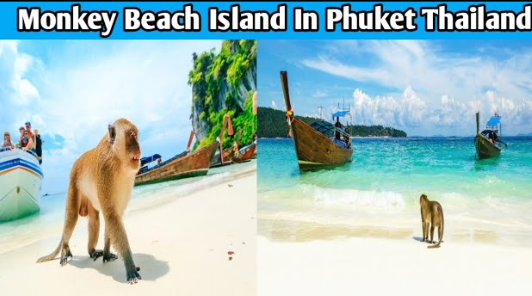 Monkey Island Phuket