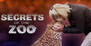secret of the zoo