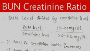 bun/creatinine ratio