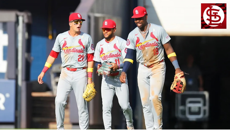 st louis cardinals